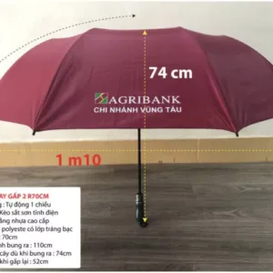 Dù agribank Vũng Tàu