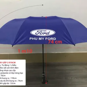 Dù in logo Ford