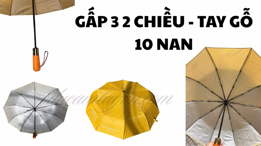 ô Dù cầm tay 10 nan 2 chiều tay gỗ