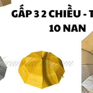 Ô dù cầm tay 10 nan gấp 3 tự động 2 chiều tay gỗ
