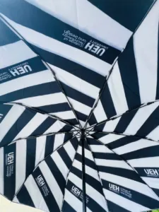 In bên trong dù hoa văn trường ueh