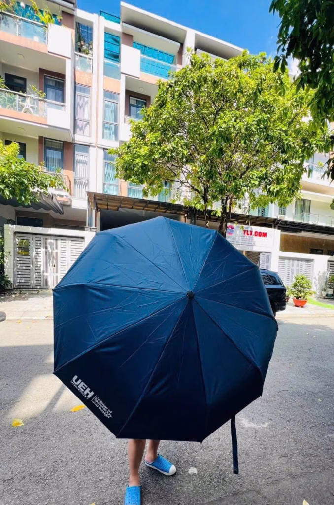 Dù 10 nan 2 chiều cầm tay