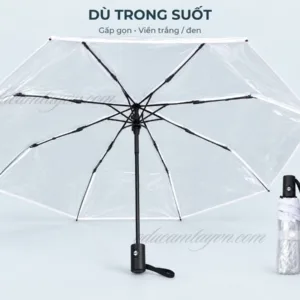 Dù cầm tay trong suốt - gấp gọn, viền trắng đen